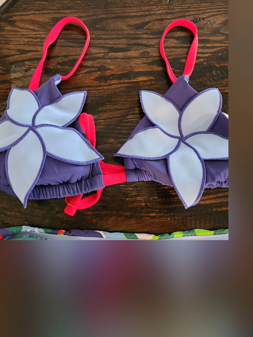 Celandine x Claire Johnson Sophia Ruched Bikini - Picture 6 of 8
